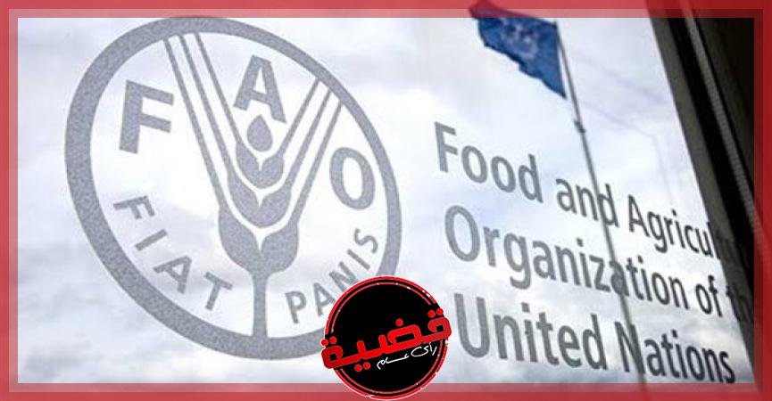 منظمة الأغذية والزراعة للأمم المتحدة "الفاو"