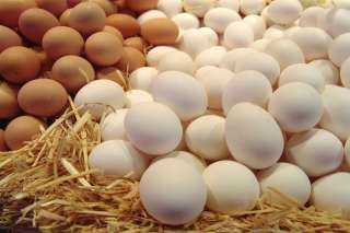30 % تراجعا في أسعار البيض.. والشعبة تتوقع انخفاض جديد