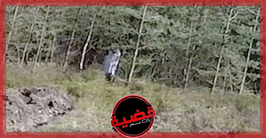 ”ميرور البريطانية”: غابة "مسكونة" تصدر منها صرخات أطفال غريبة!
