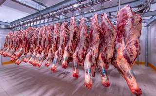 اعرف أسعار اللحوم بمنافذ وزارة التموين استعدادا لعيد الأضحى